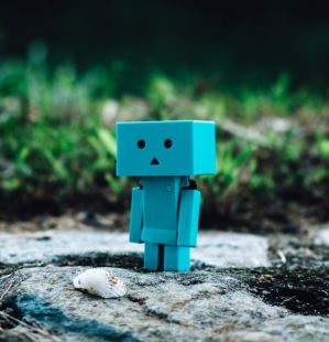 cute-danbo-macro-101764-Médio